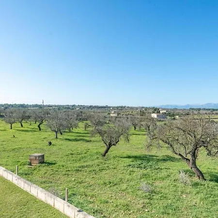 Vernisa 454 Can Picafort (Mallorca)